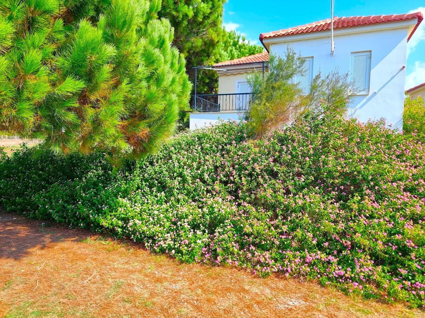 Romanos Beach Villas Eksteriør billede