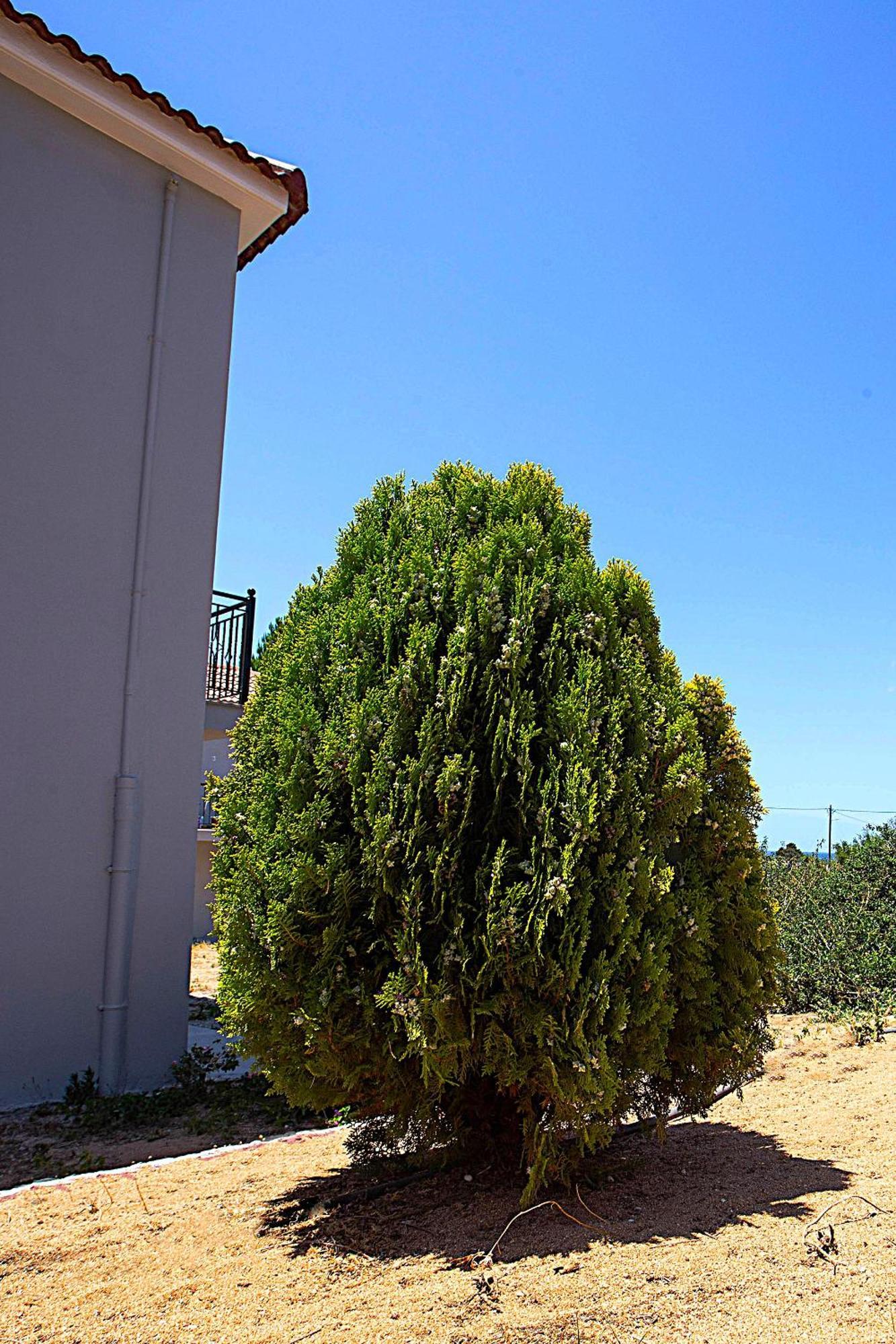 Romanos Beach Villas Eksteriør billede